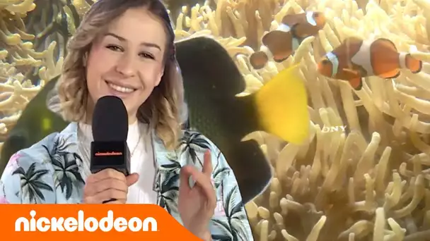 Shany'z à l'aquarium de Paris | Nickelodeon Vibes | Nickelodeon France