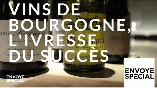 Envoyé spécial. Vins de Bourgogne, l'ivresse du succès - 18 octobre 2018 (France 2)