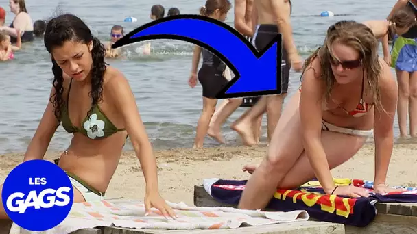 Moufette à la plage. | Juste Pour Rire Les Gags