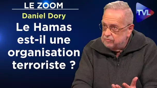 Terroriste, résistant : la vérité sur le Hamas - Le Zoom - Daniel Dory - TVL