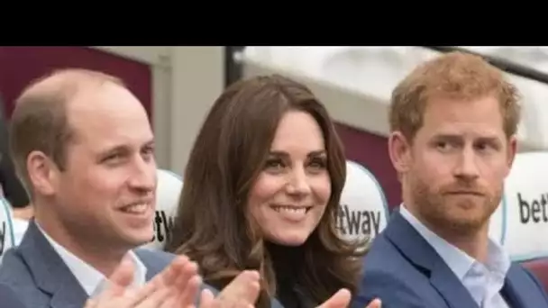 Kate travaille « dans les coulisses » pour négocier la paix entre William et « bien-aimé » Harry