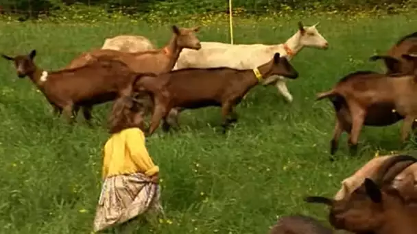 Les fermes d'autrefois - la chèvre