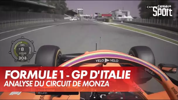 Un tour de Monza avec Carlos Sainz