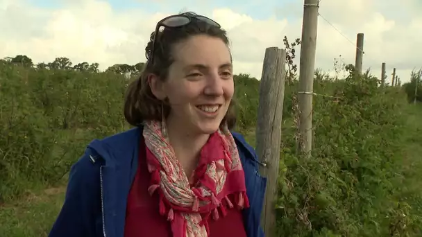 Cueillette à la Ferme de la Reauté