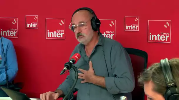 Evie Pig est née !  - Le billet de Daniel Morin