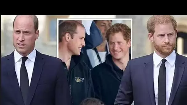 Prince Harry et Prince William: comment la rupture royale a brisé le «lien unique» des frères