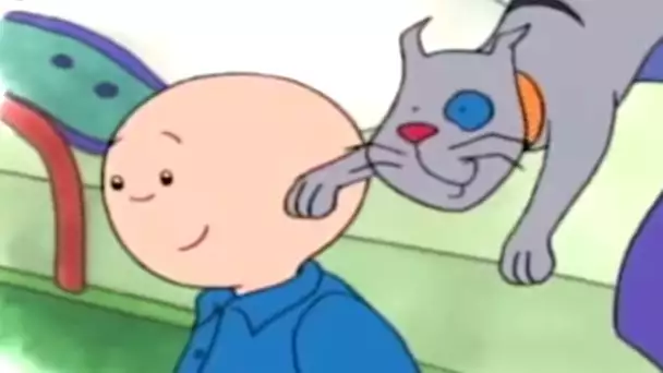 Caillou en Français - Caillou et L&#039;attaque du Chat | dessin animé | conte pour enfant