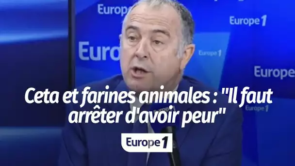 Ceta et farines animales : "Il faut arrêter d'avoir peur", enjoint Didier Guillaume