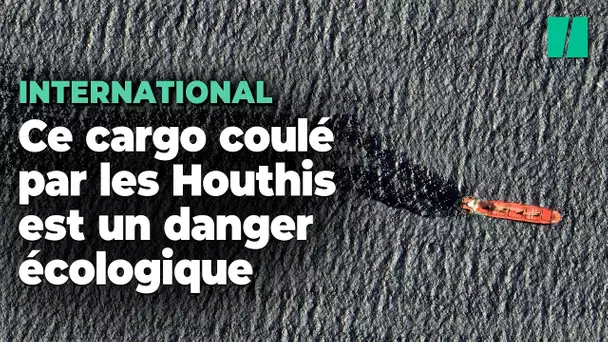 Un navire chargé d’engrais coulé par les Houthis