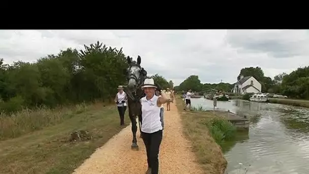 A Nort-sur-Erdre : découverte du canal de Nantes à Brest en péniche tirée par un cheval