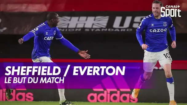 Sheffield United / Everton : le but du match - Premier League, 15ème journée