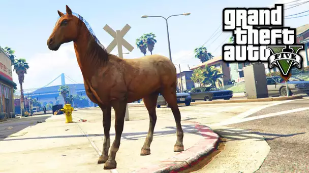 SE TRANSFORMER EN CHEVAL GTA 5 (Secret Peyotl)