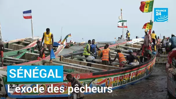 Au Sénégal, le manque de poissons pousse les pêcheurs à l'exode • FRANCE 24