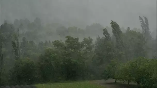 Tempête Mathis : un homme de 19 ans décède, 700 foyers privés d'électricité... Le point sur la si…