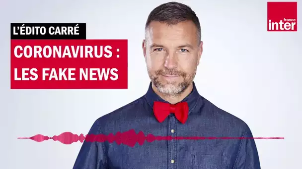 Alcool, cocaïne, urine d'enfant et tisane à l’eucalyptus : les fake news autour du coronavirus