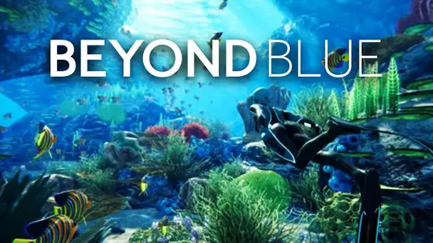 Beyond Blue : Présentation