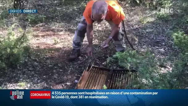 Emmanuel Macron décide de suspendre la chasse à la glu