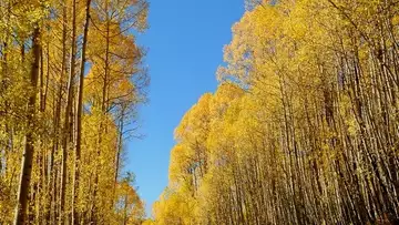Job de rêve : gardien de l'une des plus belles réserves naturelles au Colorado !
