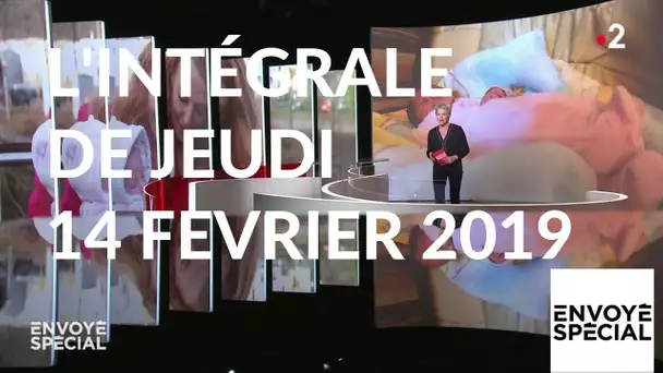 Envoyé spécial de jeudi 14 février 2019 (France 2)