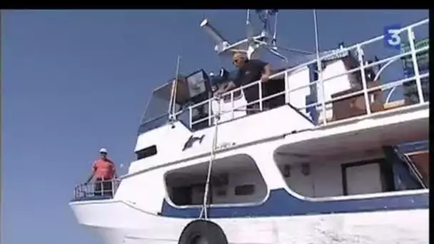 Pêche industrielle au thon au large des côtes libyennes