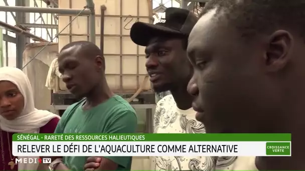 #CroissanceVerte.. Sénégal: relever le défi de l'aquaculture comme alternative