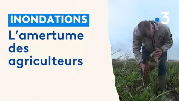 L'amertume des agriculteurs face aux inondations dans le Pas-de-Calais
