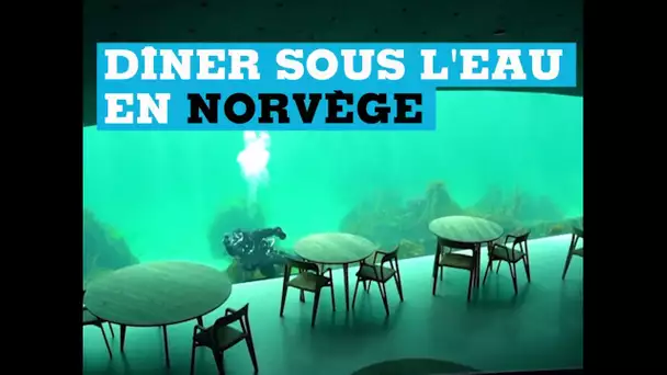 Dîner sous l'eau, c'est désormais possible en Norvège