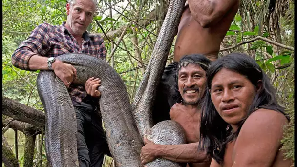 Ils capturent un anaconda à mains nues - ZAPPING SAUVAGE