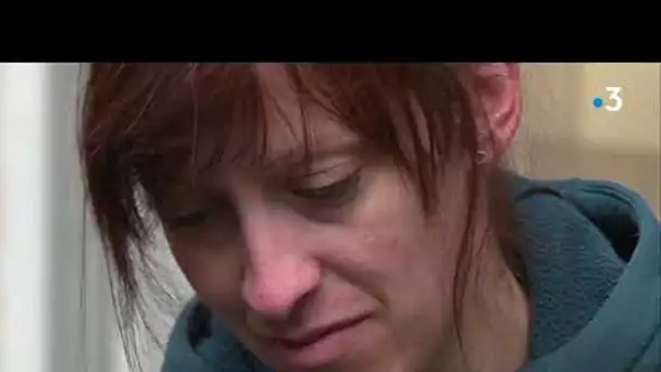Au zoo de Mulhouse, les bénévoles mobilisés pour préparer la nourriture hivernale des okapis