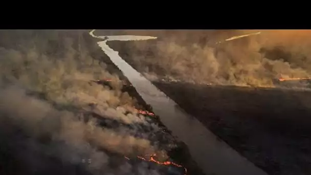 Argentine : des feux "intentionnels", accusent les écologistes, qui enfument les villes