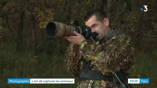 Dans les pas d'un photographe animalier du Tarn