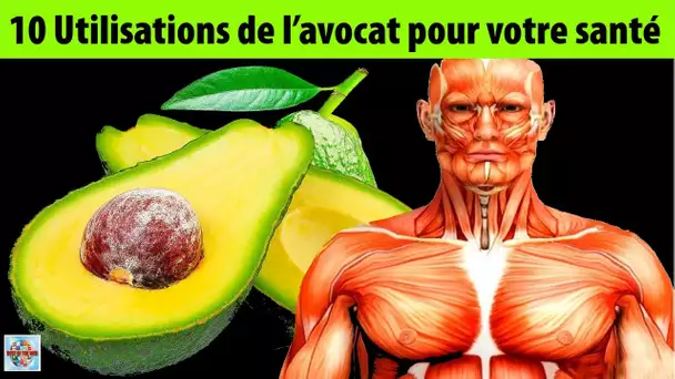 10 utilisations originales de l’avocat pour prendre soin de votre santé et de votre beauté