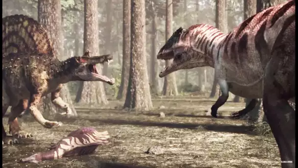 Spinosaure VS carcharodontosaure (dinosaures) - ZAPPING SAUVAGE