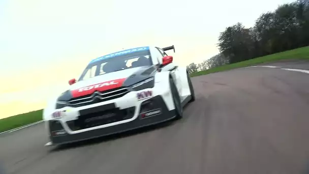 Le championnat WTCC