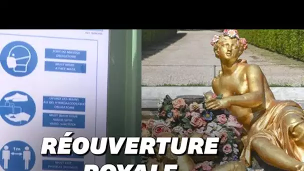 Déconfinement: Grandes eaux et couleurs restaurées, le Château de Versailles rouvre ses grilles