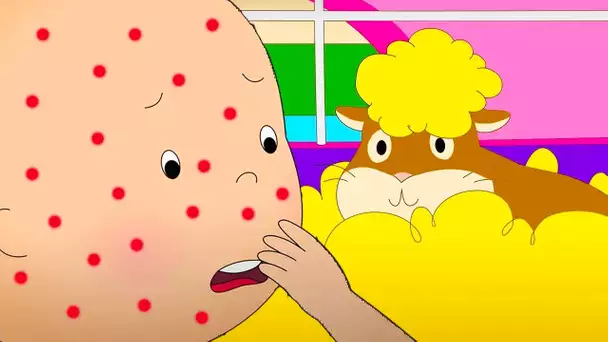 Allergique aux Animaux | Caillou en Français