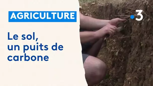 Loi d'orientation agricole : préserver les sols pour s'adapter au changement agricole