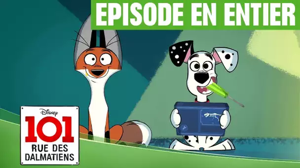 101, rue des Dalmatiens - Construction de Dinosaure (épisode 7)