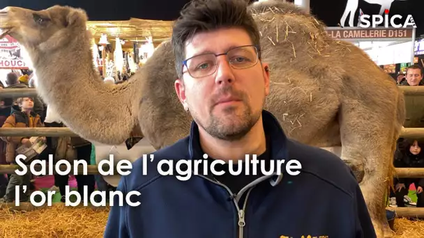 L'or blanc, la découverte au Salon de l'agriculture !