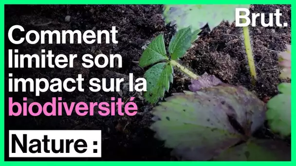 Comment limiter son impact sur la biodiversité