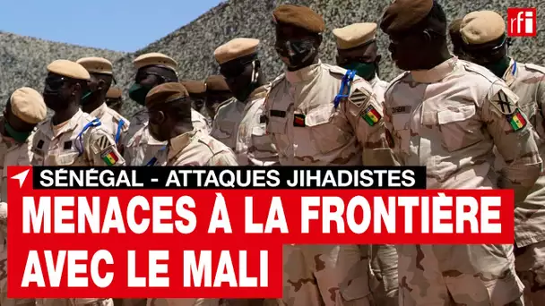 Sénégal : un rapport de l’ISS pointe des failles de sécurité à la frontière malienne • RFI