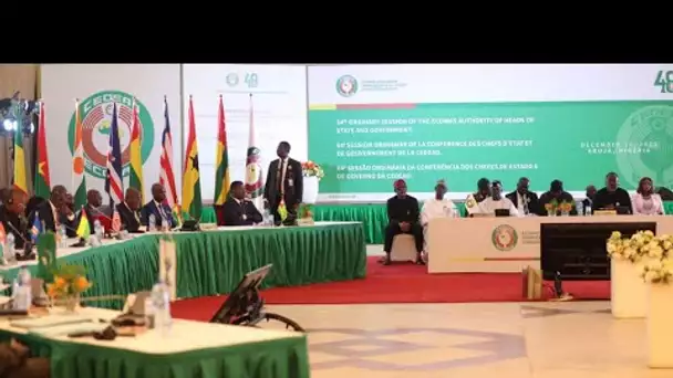 Le Mali, le Niger et le Burkina Faso quittent la Cédéao "sans délai" • FRANCE 24