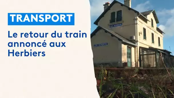 Le Gouvernement annonce la remise en service d'une ligne SNCF