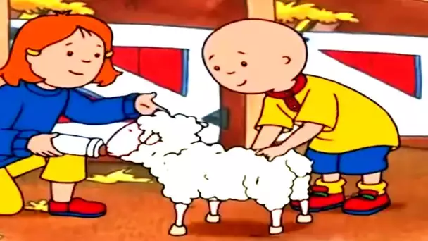 Caillou et le mouton | Caillou en Français