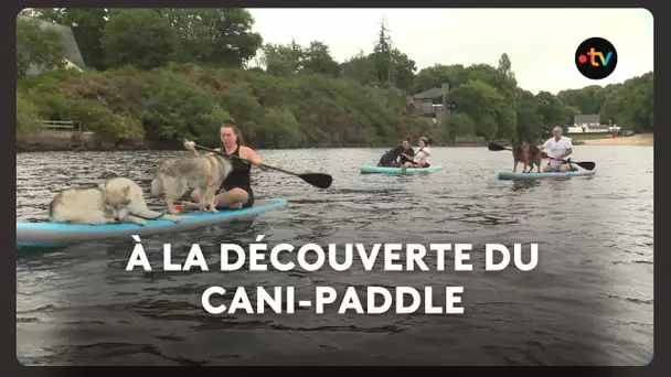 A la découverte du cani-paddle