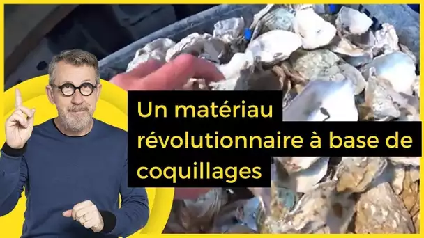 Un matériau révolutionnaire à base de coquillages - C Jamy