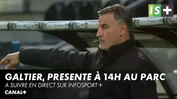Christophe Galtier, présenté à 14H officiellement - Ligue 1 Uber Eats Paris SG