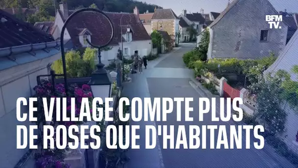 Découvrez le très beau village de Chédigny, qui compte plus de roses que d'habitants