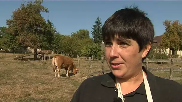 Susana, éleveuse en lice pour le concours national limousin