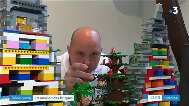 Audun-le-Tiche : portraits de passionnés de Lego®